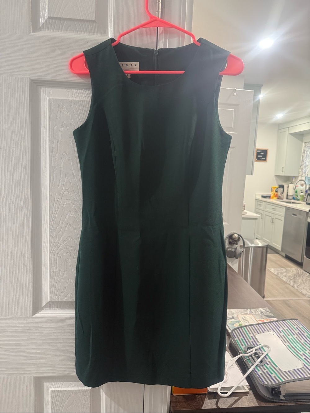 Paniz Dark Green Sleeveless Mini Sheath Dress